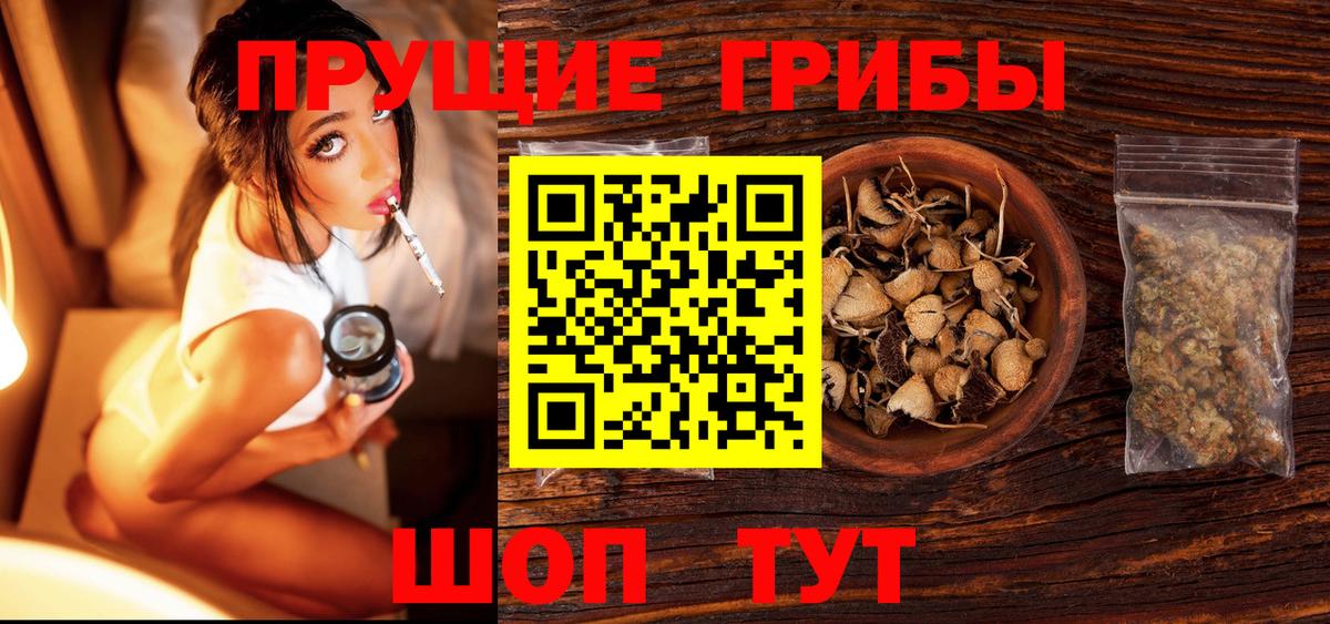 Галлюциногенные грибы мухоморы Лесной