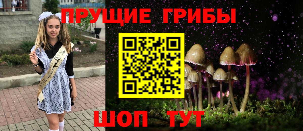 Лесной  что такое наркотик  Вход с VPN  Галлюциногенные грибы GOLDEN TEACHER  Галлюциногенные грибы Cubensis 